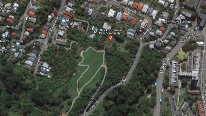 The man's body was found at Tanera Park in Wellington on Thursday. Image / Google Maps