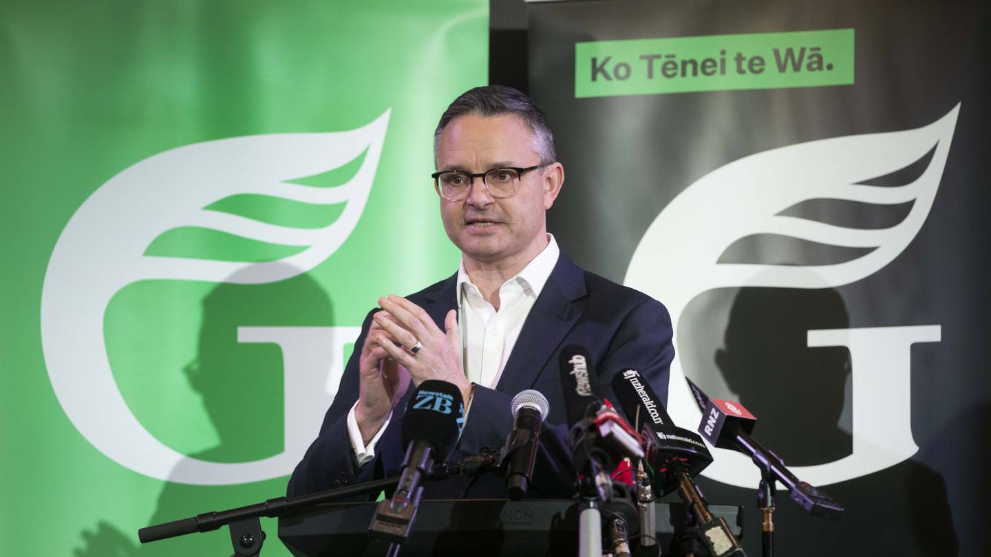 James Shaw. Photo / Mark Mitchell