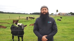 Company Rural Practice owner Reza Abdul-Jabbar has been fined for the exploitation of three migrant workers from Indonesia. Photo / RNZ / Cosmo Kentish-Barnes