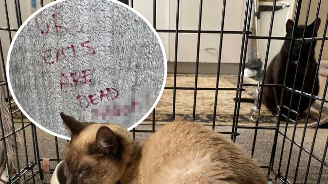 Nella Paterson said her cat's tail has been ripped off.